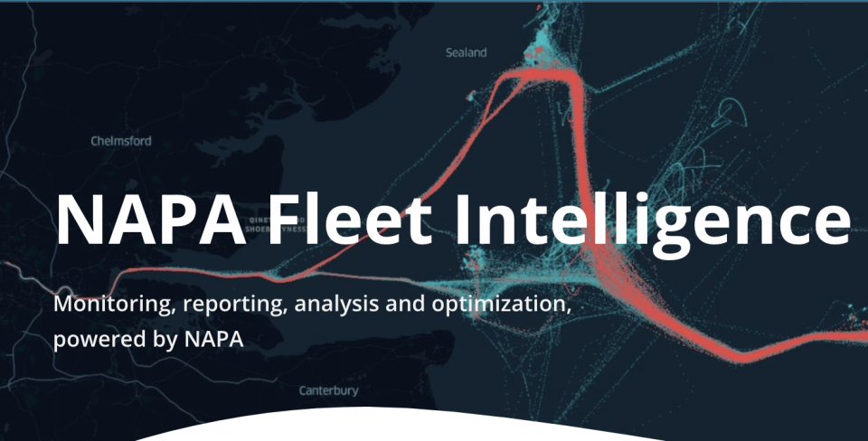 screenshot of NAPA Fleet Intelligence